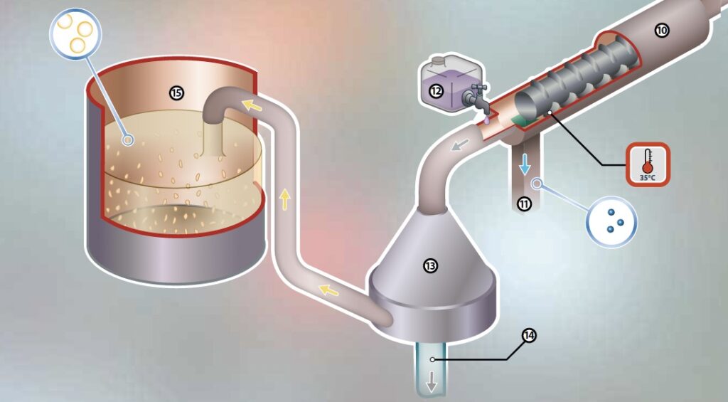 Article image of: Veelzijdig inzetbare polymeerkorrels uit afvalwater