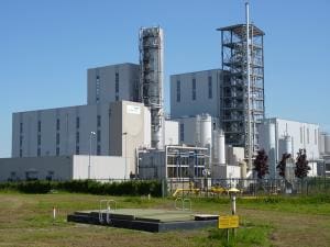 Article image of: Ruime verdubbeling raffinagecapaciteit Wilmar