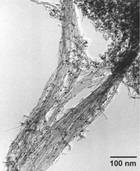 Article image of: E&R – EXAKT Driewalsen met onderscheidende voordelen in de Nanotechnologie