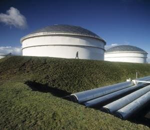 Article image of: Havenbedrijf investeert tientallen miljoenen in tanksector