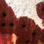 Article image of: Doorstart commissie Corrosie