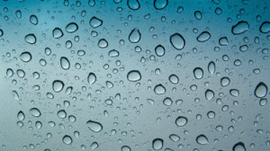 Article image of: Combinatie AquaNed en Rioleringsvakdagen succesvol