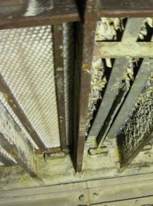 Article image of: Teflon® PTFE Honingraat blokken