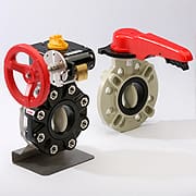 Article image of: Bestekteksten Asahi en Frank als Nederlandse downloads