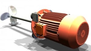 Article image of: Duurzaamheid en expansie gaan hand in hand