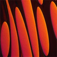 Article image of: Bescherm uw motor tegen oververhitting