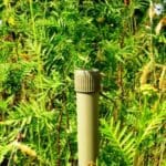 Article image of: Groene BioBuis