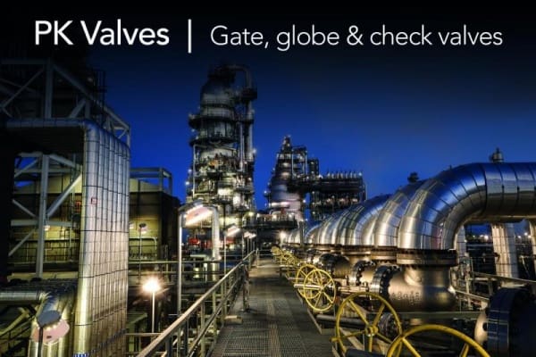 Article image of: ERIKS Econosto heeft $ 40 mln aan ANSI valves