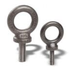 Article image of: Korte oogbout