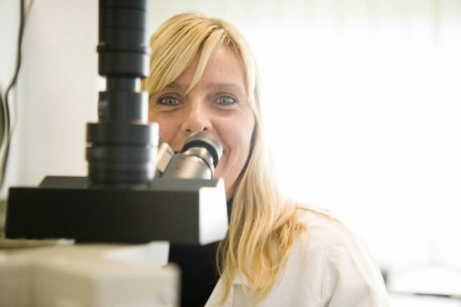 Article image of: Gratis seminar monstername voedingsmiddelenindustrie