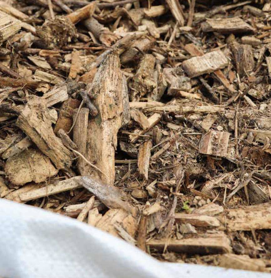 Article image of: Bio-aromaten uit lignine