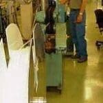 Article image of: Slangen op lange continue lengtes