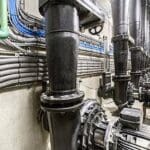 Article image of: Draka maakt duurzame kweek van Yellowtail Kingfish mogelijk