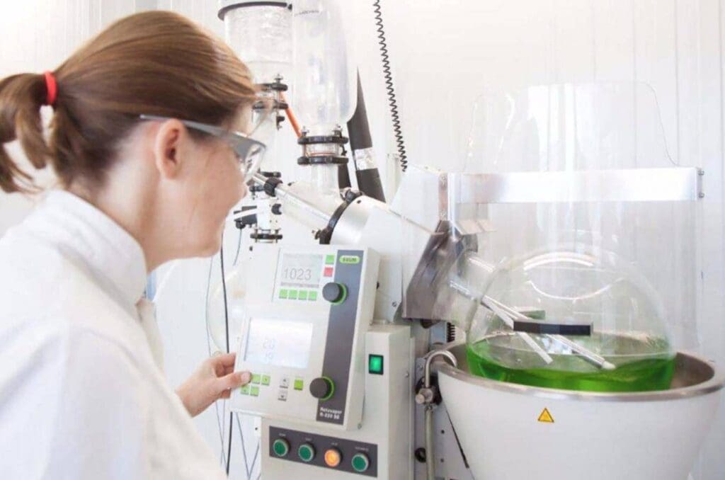 Article image of: Zeewier als duurzame brandstof