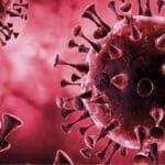 Article image of: KWR gaat nieuwe coronavirus in rioolwater screenen