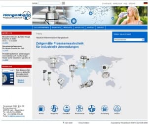 Article image of: Vernieuwde website Hengesbach prozessmesstechnik