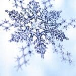 Article image of: Middagsessies Linde Gas over uitfasering HCFK`s