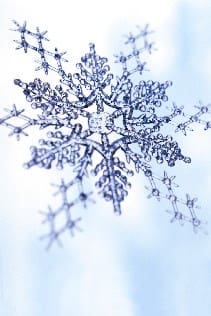 Article image of: Middagsessies Linde Gas over uitfasering HCFK`s