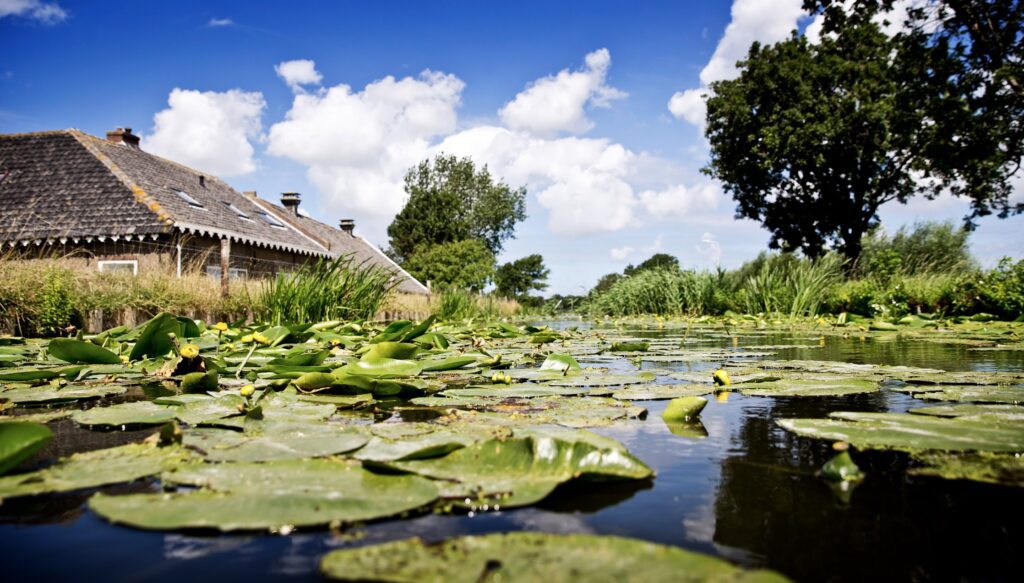 Article image of: Nieuwe milieunorm beschermt ­vispopulaties