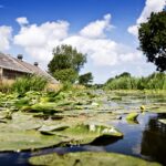 Article image of: Nieuwe milieunorm beschermt ­vispopulaties