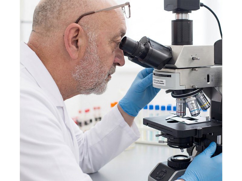 Willem Struijk achter de microscoop