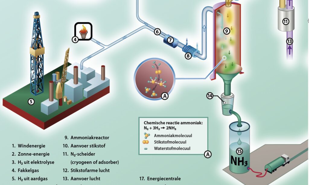Article image of: Sleutelrol duurzame ammoniak in energietransitie?