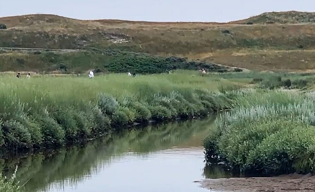 Article image of: Uitbreiding meetnet slootwater
