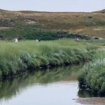 Article image of: Uitbreiding meetnet slootwater